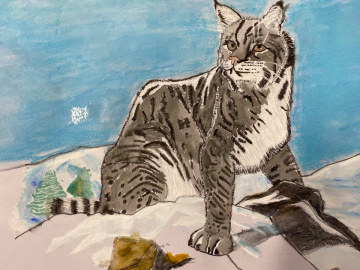 Index - Drawn to Art